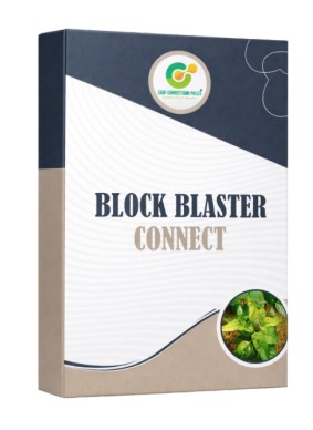 Connect Block Blaster